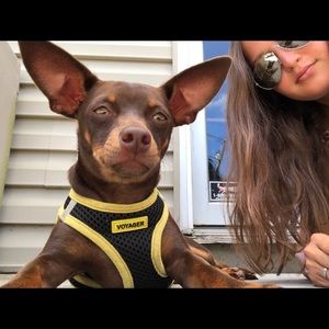 Meet your Posher, Taylor